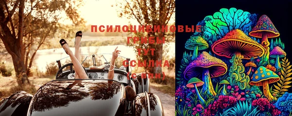 СК Богданович