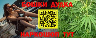 гидра Камышлов