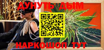 гидра Камышлов