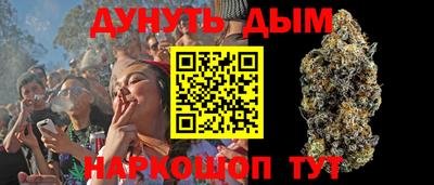 гидра Камышлов