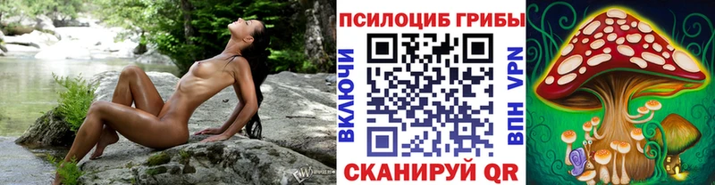 Галлюциногенные грибы GOLDEN TEACHER  где можно купить наркотик  Кузнецк 