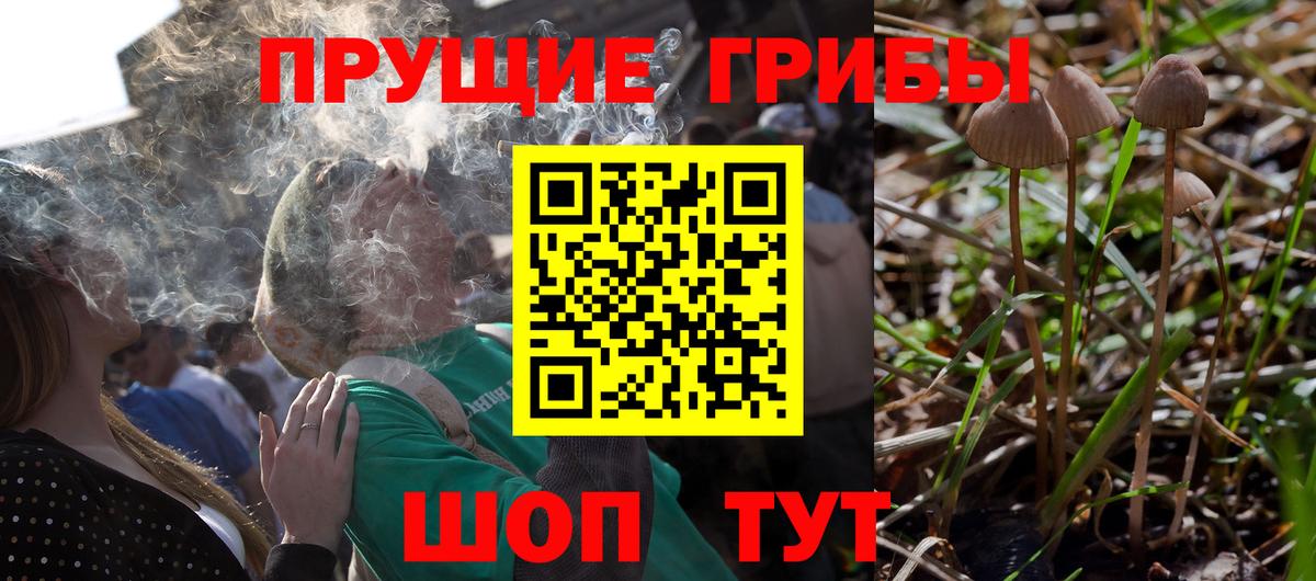Кузнецк  купить   Галлюциногенные грибы Magic Shrooms  Вход с VPN  Галлюциногенные грибы Cubensis 