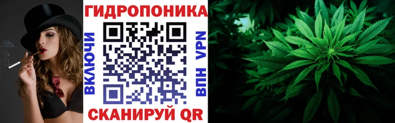 Бошки Шишки семена  Кузнецк 